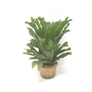 Kunstplant Hertshoorn in pot 48,5cm