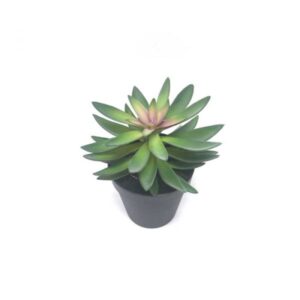 Kunstplant Succulent in pot 18cm