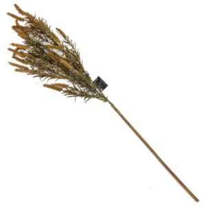 Decoratietak Naaldaar Setaria