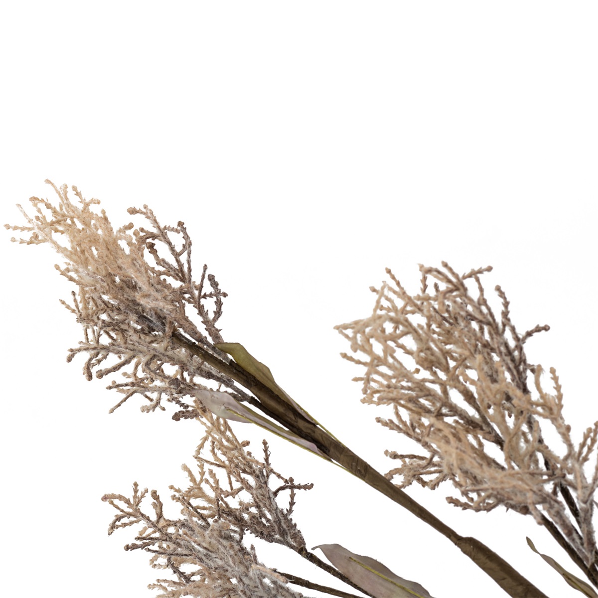 Wilgentak Off-white - Afbeelding 5